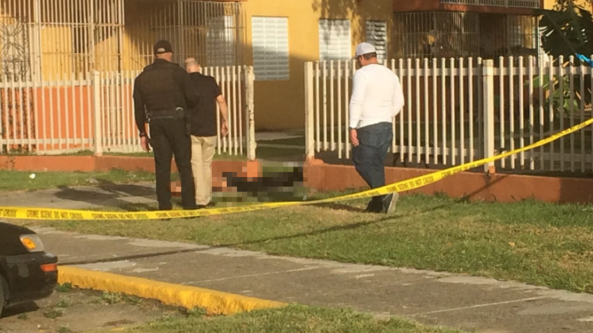 Asesinato En El Residencial Nemesio Canales De San Juan Telemundo