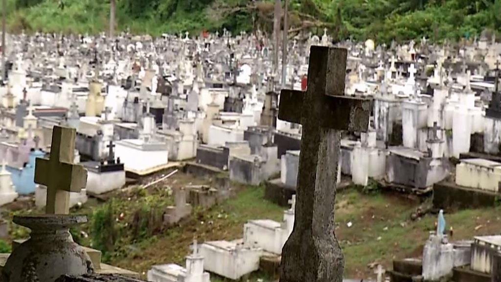 Pierluisi declara emergencia ambiental en cementerio municipal de Lares - Vimarsana News