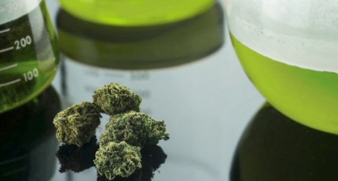 CANNABIS-MEDICINAL-680x365_c