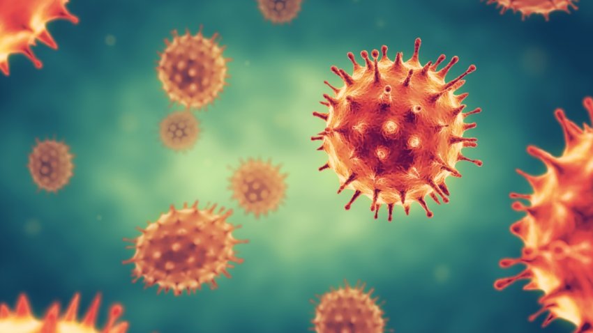 CORONAVIRUS UPDATE VIERNES ARIZONA
