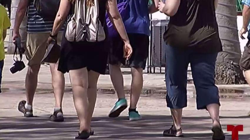 orcassocialvideo_1200x675_1212198979885.jpg