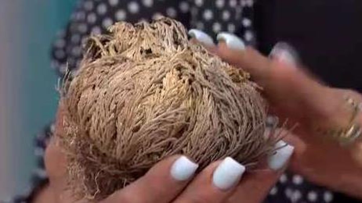 Flor mágica” que nunca muere y atrae el dinero – Telemundo Puerto Rico Flor mágica” que nunca muere y atrae el dinero – Telemundo Puerto Rico