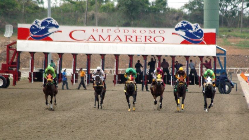 Hipismo en Puerto Rico