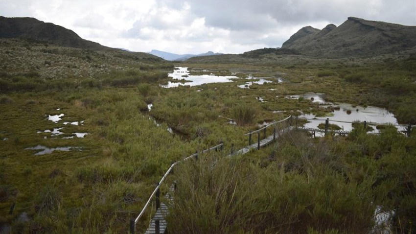 Fotografía de un cuerpo de agua en el Paramo de Chingaza, Colombia.