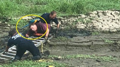 ¿Por culpa de su fiel loro?, rescate insólito en medio del lodo