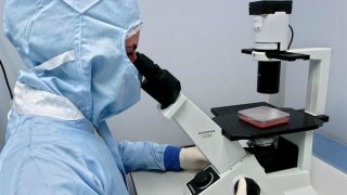 TLMD-laboratorio-microscopio-cientifico-EFE-11646235w