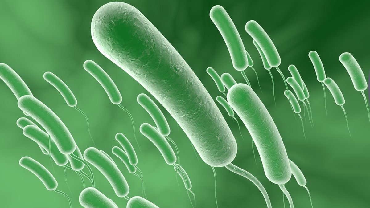 Imagen del artículo de Telemundo PR: Salud aclara que bacteria “come carne” no se ha detectado en la isla