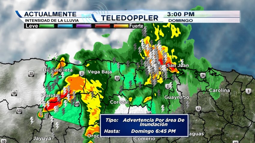WTVJ_000000028372869_1200x675_891920451975.jpg