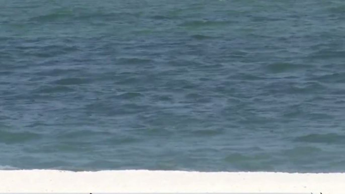 Turista muere ahogado en playa Buyé tras caerse de un bote en Cabo Rojo