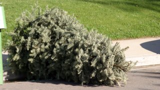 arbol-navidad-ceciclaje