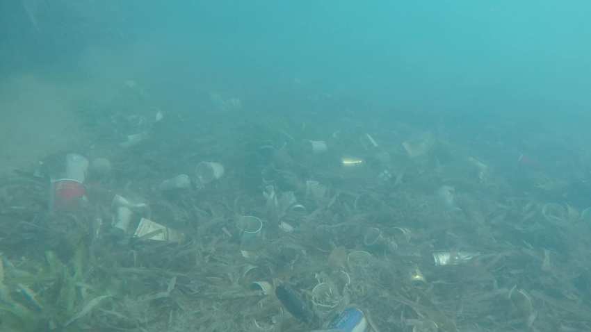 basura_playa_42357503645_2404479329576583_3350980338137432064_o