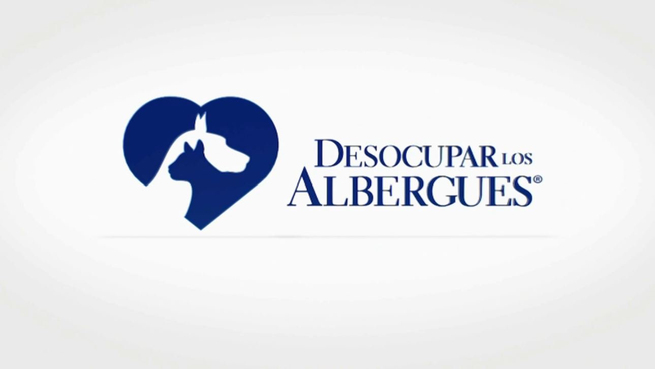 Telemundo Puerto Rico celebra exitosa campaña "Desocupar los Albergues 2026″