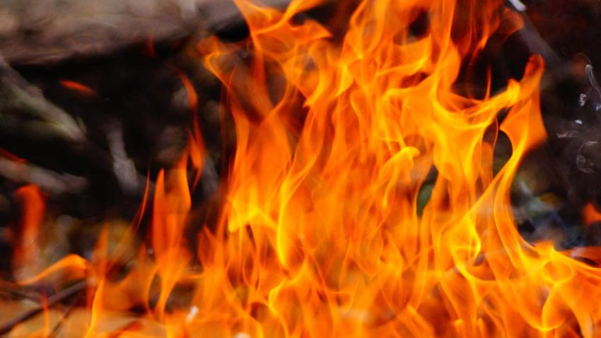 fuego_5345image_proxy (1)