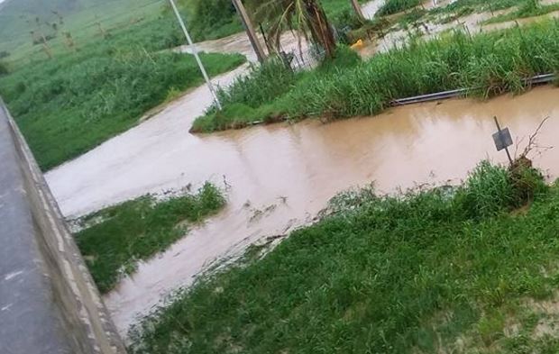 Fuera de su cauce el Río Blanco en Naguabo – Telemundo Puerto Rico