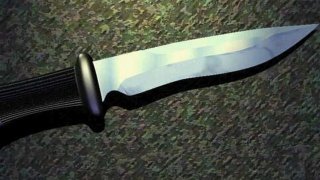 A knife with a black handle