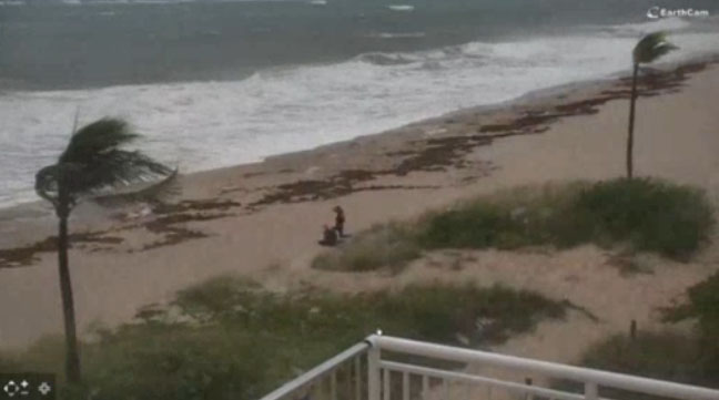 livecam