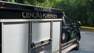 prgenerica_NCF_Ciencias_Forenses (3)