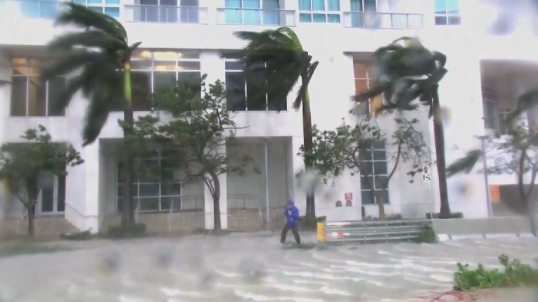 tlmd-miami-irma-escuelas