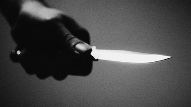 tlmd_cuchillo_gato