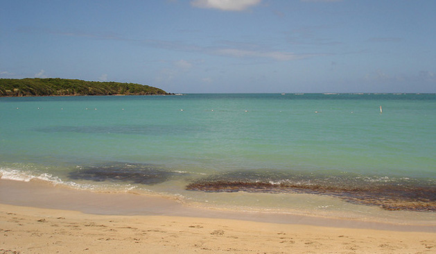 tlmd_fplayaspuertorico