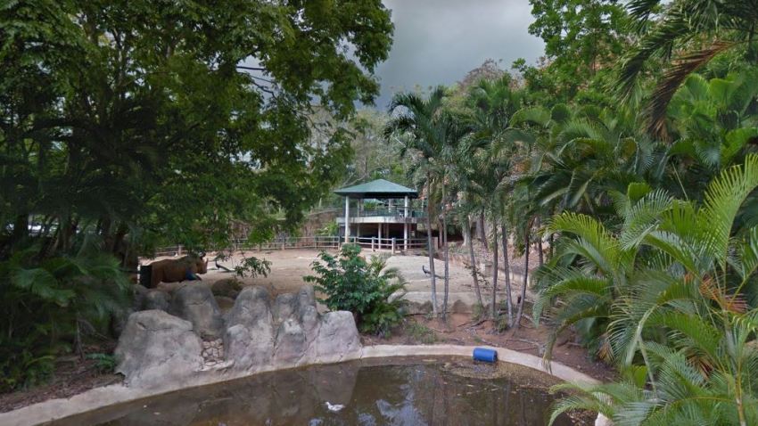 zoologicomayada15asdfasdfasd