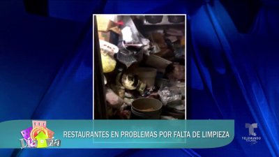 Inspector de Salud: “parecía un corral de cerdos”