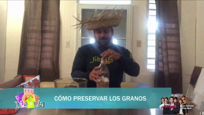 Cómo preservar los granos