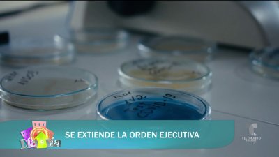 Secretario de Salud sobre extensión de la Orden Ejecutiva actual