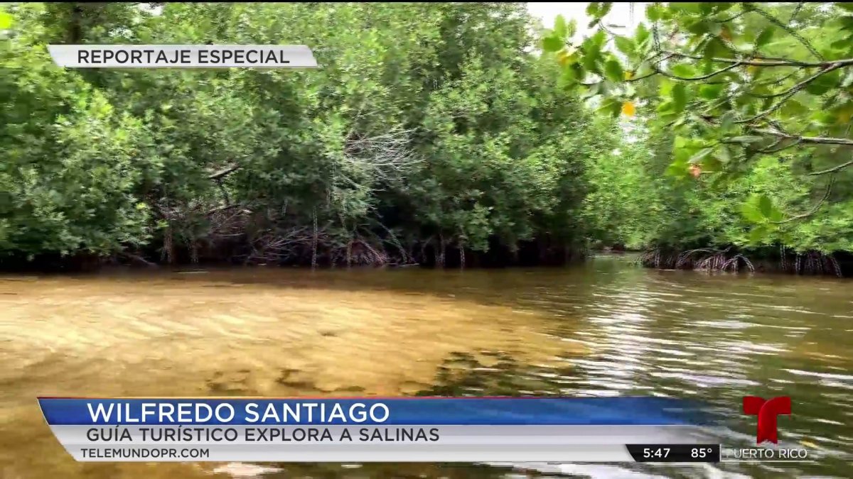 Ruta educativa en kayak que ofrece Explora a Salinas Telemundo Puerto