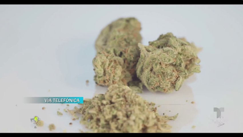 Los beneficios del cannabis medicinal en las personas de la tercera edad