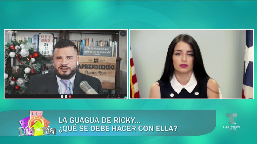 Jefa de Compras del Gobierno evalúa alternativas para resolver asunto de la guagua blindada