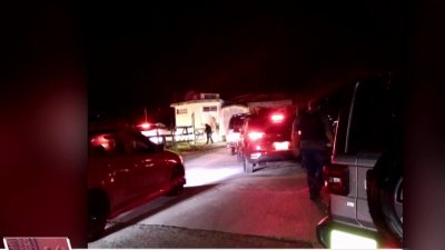 Con disparos al aire culmina intervención de Salud en una hacienda en Cidra