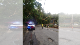 Un árbol se cayó en la carretera PR-1 de Caguas.