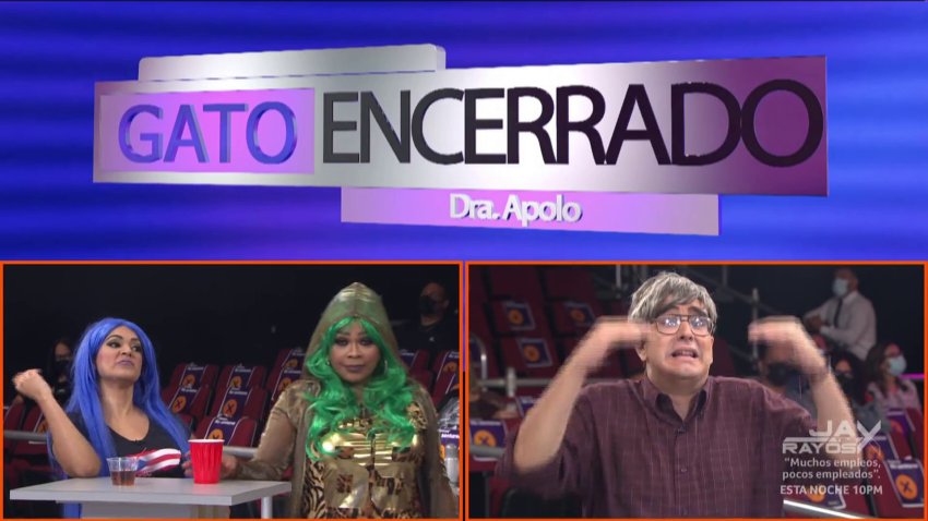 Gato Encerrado | Llegan las turistas a hacer escándalo