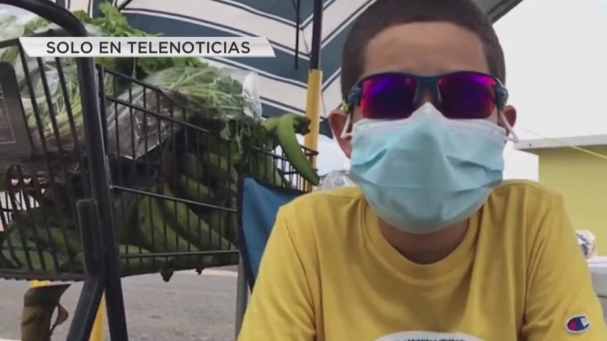 ¡Sin parar! Richard retoma labores en su puesto para vender frutas y viandas