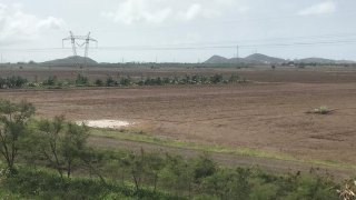 Agricultura en Puerto Rico
