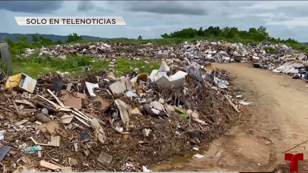Los retos ambientales de Puerto Rico Telemundo Puerto Rico