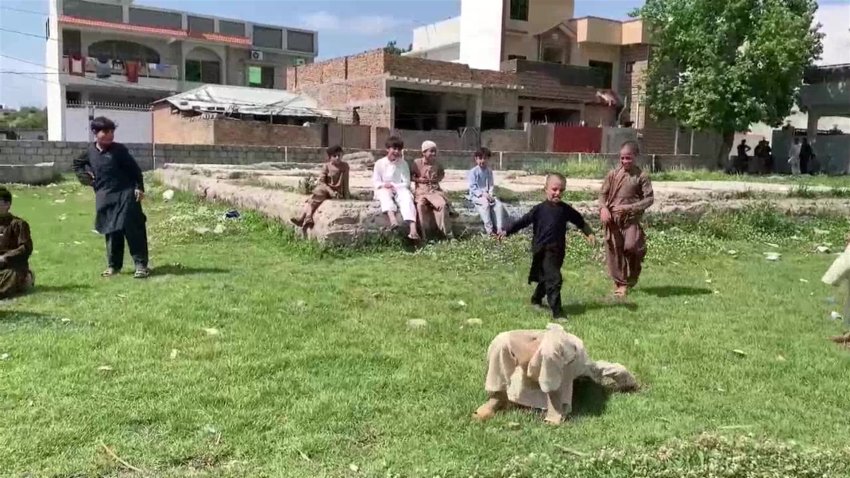 Video del complejo de Osama bin Laden en Pakistán