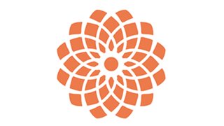 Logo del Instituto de Neurociencia Cognitiva