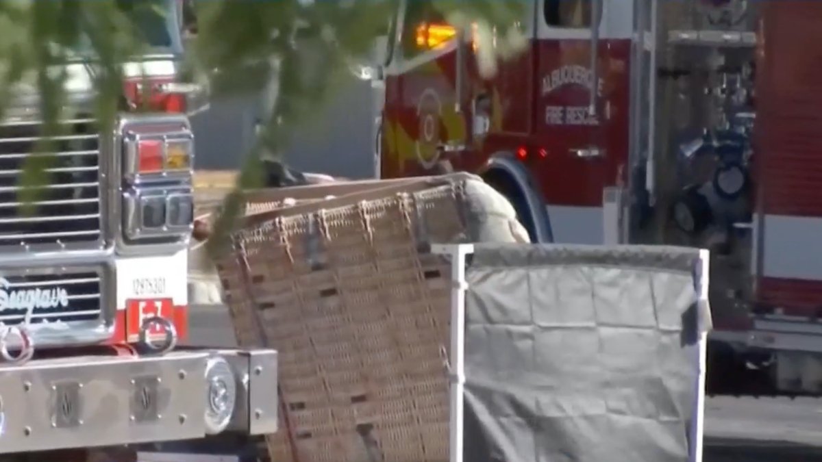 Mueren en globo aeroestático en Alburquerque – Telemundo Puerto Rico - Vimarsana News