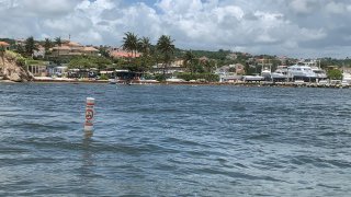 Boyas en Humacao para proteger a manatíes