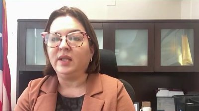 Senadora Migdalia González busca enmendar la Ley 54