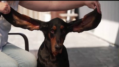 Con estas curiosas hazañas, Guinness World Records revela su edición 2022