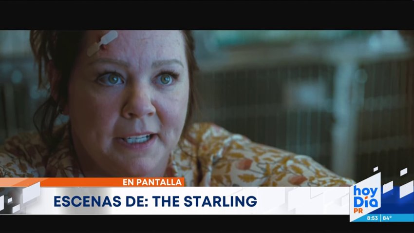 Estos son los estrenos en pantalla para esta semana