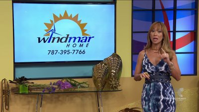 Que no se te vaya más la luz: firma con Windmar Home