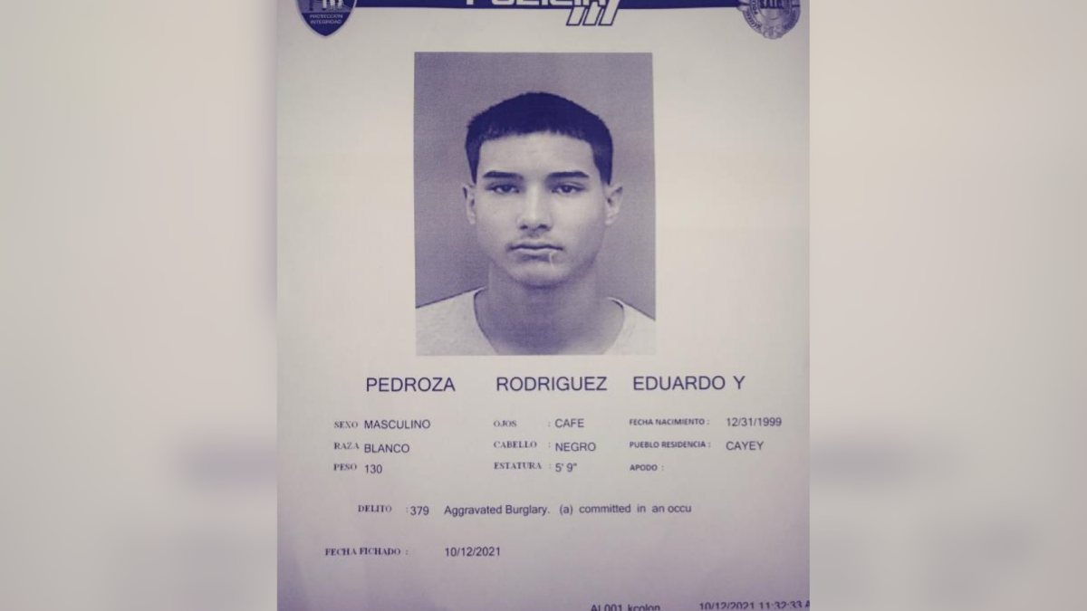 Arrestan A Uno De Los Más Buscados En El área De Guayama Telemundo Puerto Rico