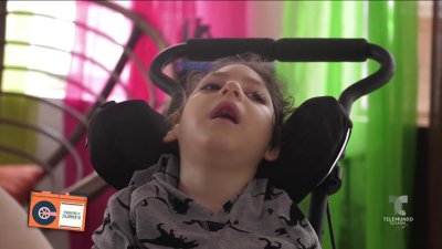 En qué quedó: los hijos del Zika