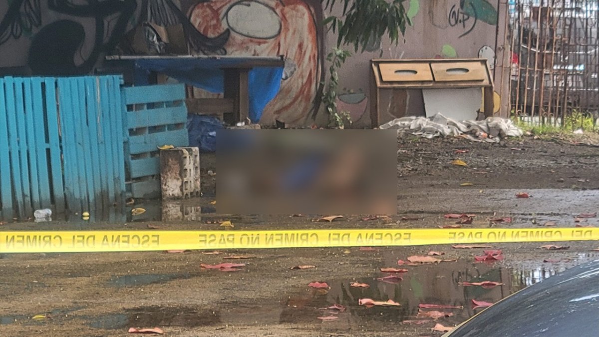 Asesinan A Balazos A Un Hombre En Hato Rey Telemundo Puerto Rico