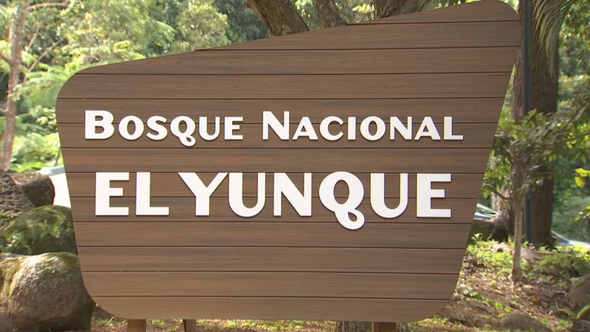 Rescatan a varias personas que quedaron atrapadas por crecida en El Yunque