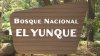 Rescatan a turistas extraviados en El Yunque